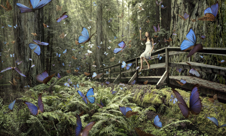 'Butterfly Girl' (Chris Crisman)
