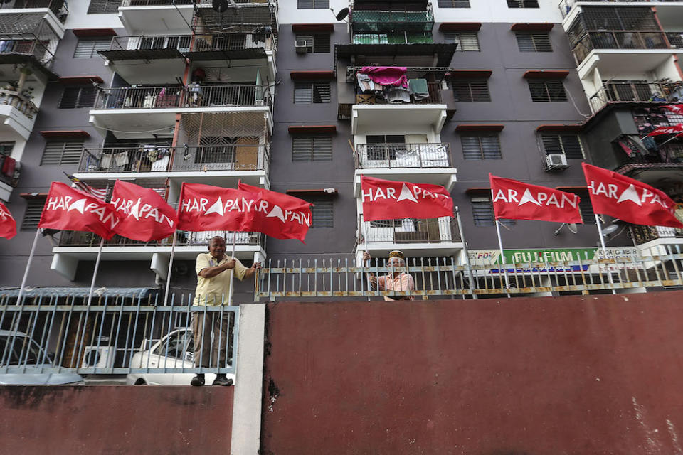 Pakatan Harapan flags are seen in Kelana Jaya August 22, 2018. — Picture by Hari Anggara