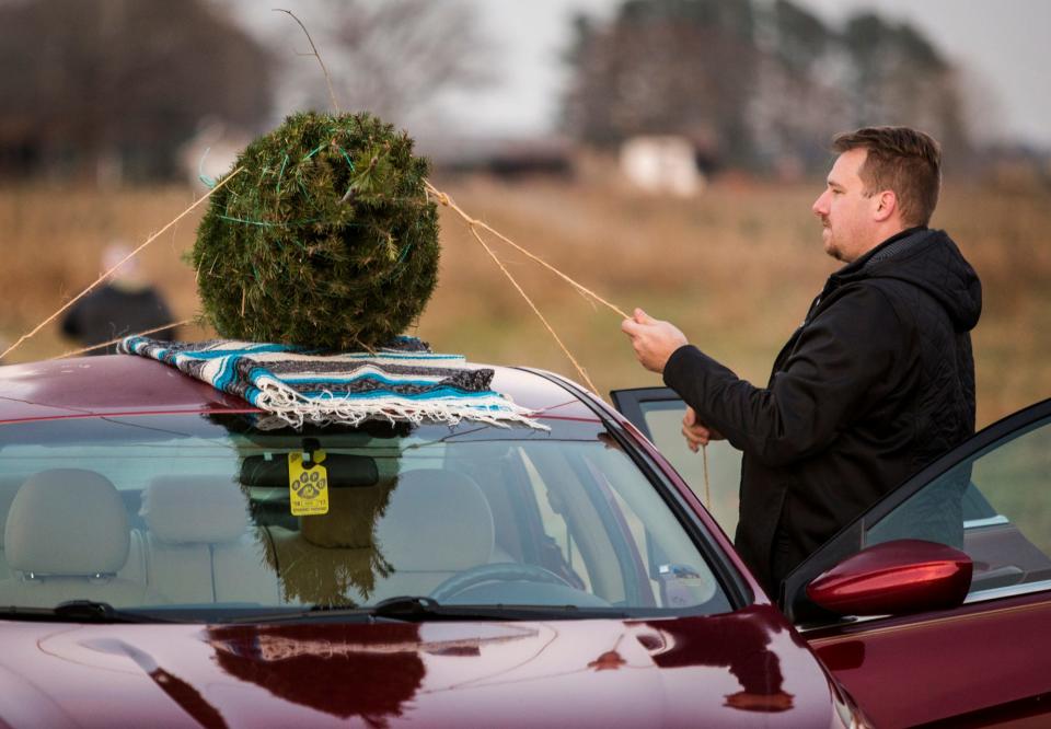Tom Garrett ties his Christmas tree town to the roof of his car after cutting the tree down with his family at Coleman's Christmas Tree Farm in Middletown in 2016.