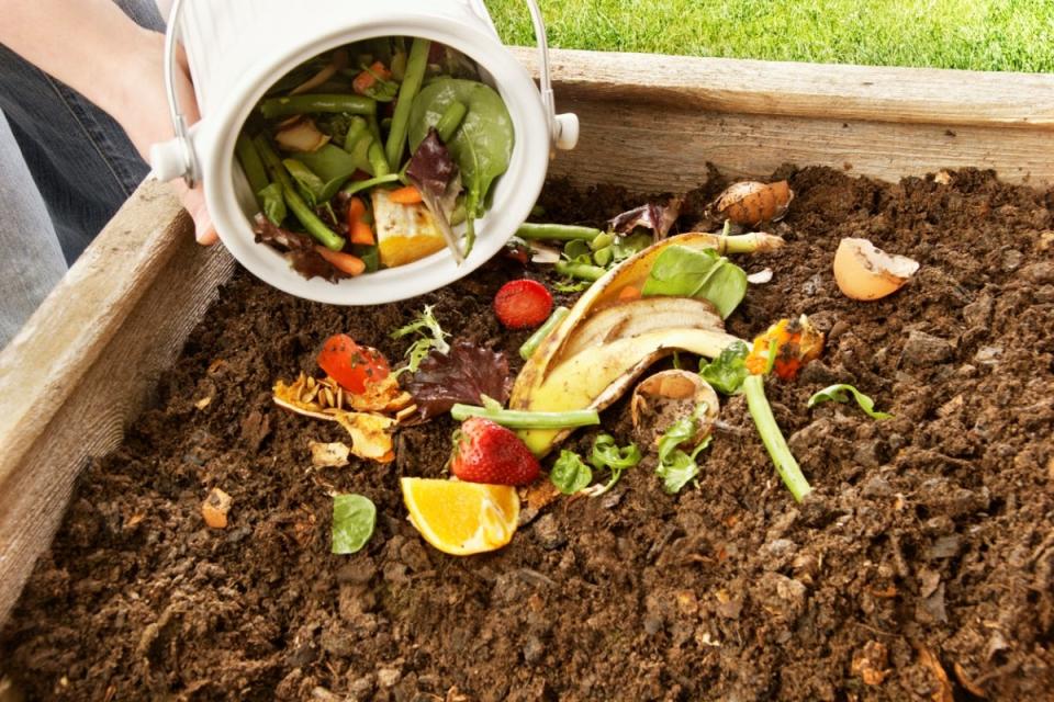 Throwing kitchen scraps like citrus, leaves, and green beans from a bucket into a raised garden bed.