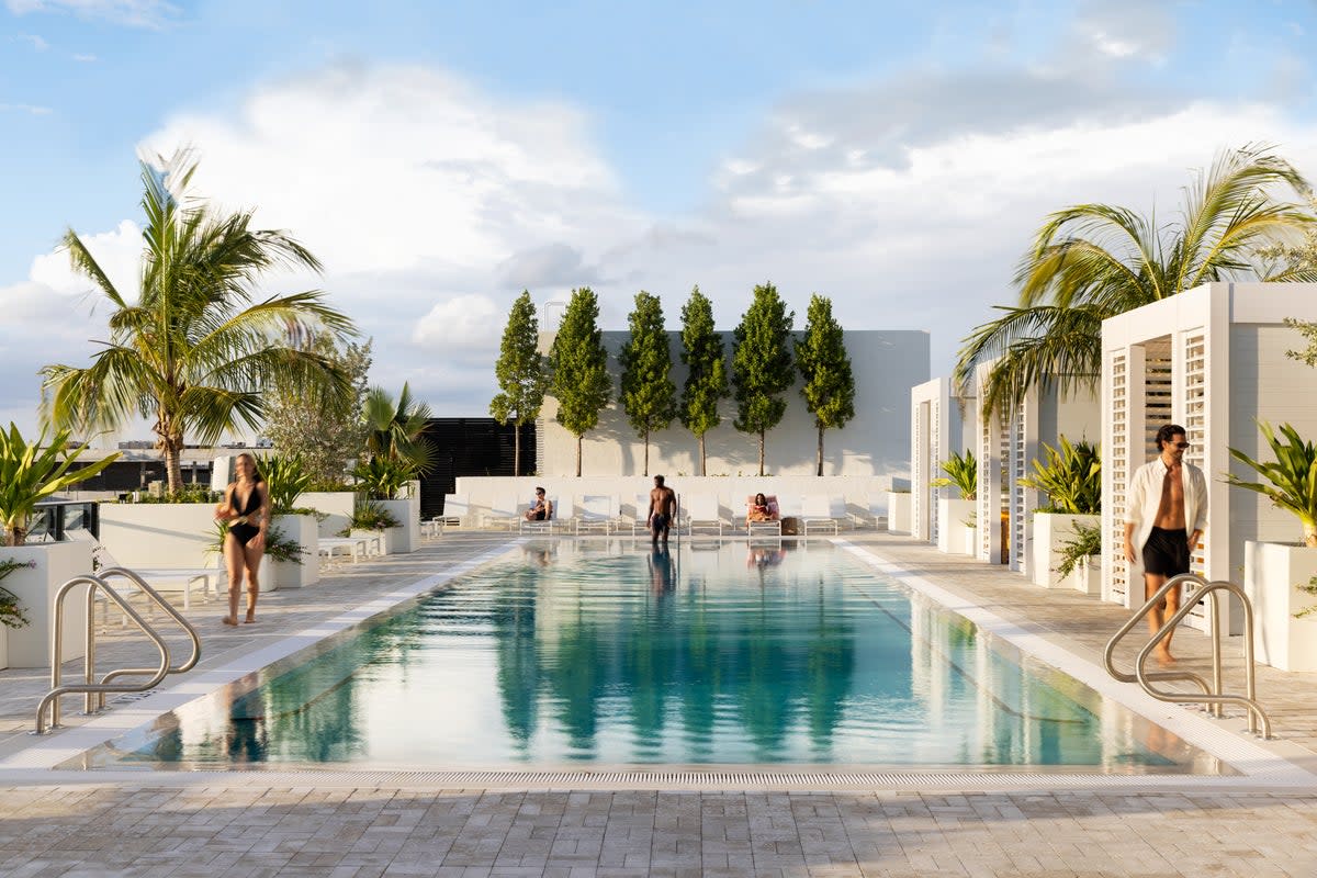 The rooftop pool at Arlo Wynwood, Miami (Arlo Wynwood)