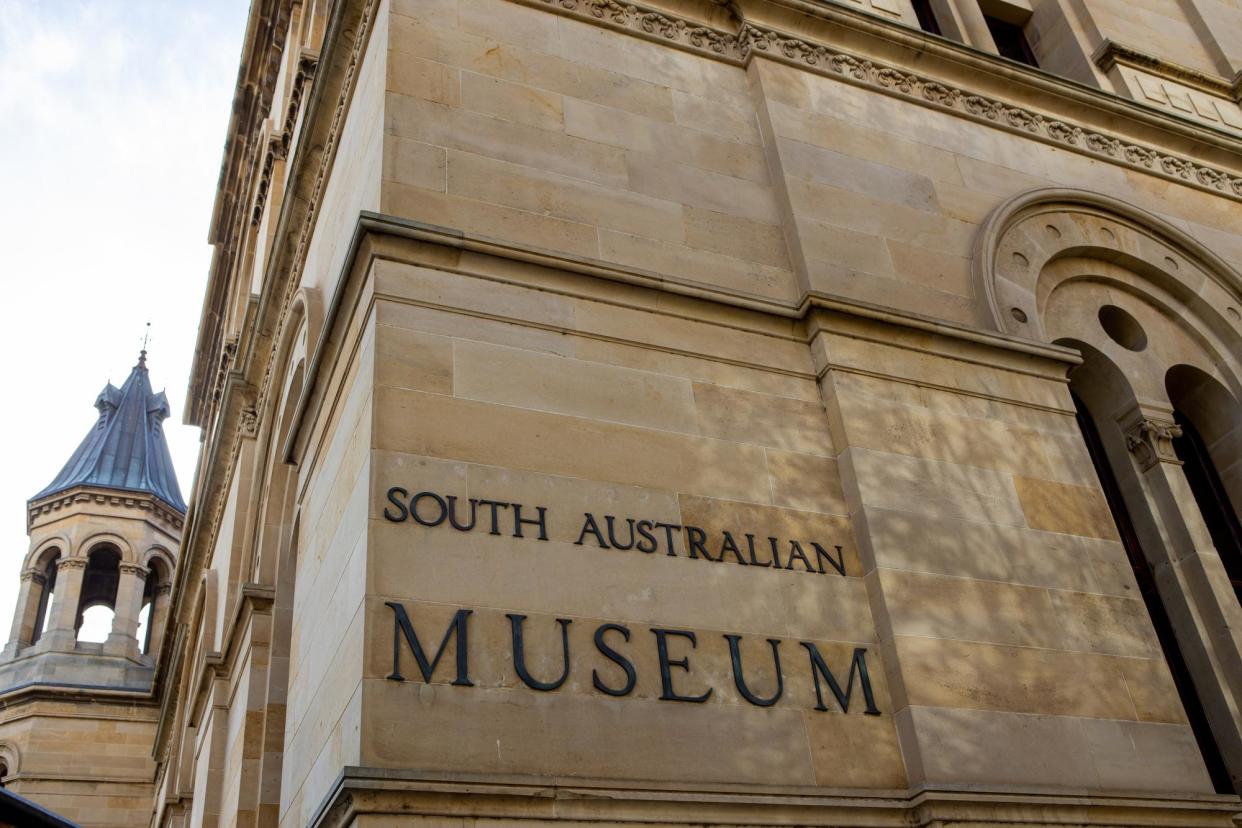 <span>A planned radical restructure of the South Australian Museum has seriously undermined relations between the institution and Indigenous staff and stakeholders. </span><span>Photograph: Kelly Barnes AllStar Photos/The Guardian</span>