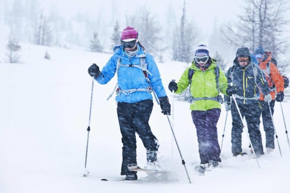 Take a guided snowshoe tour in Lake Louise (Paddy Pallin)