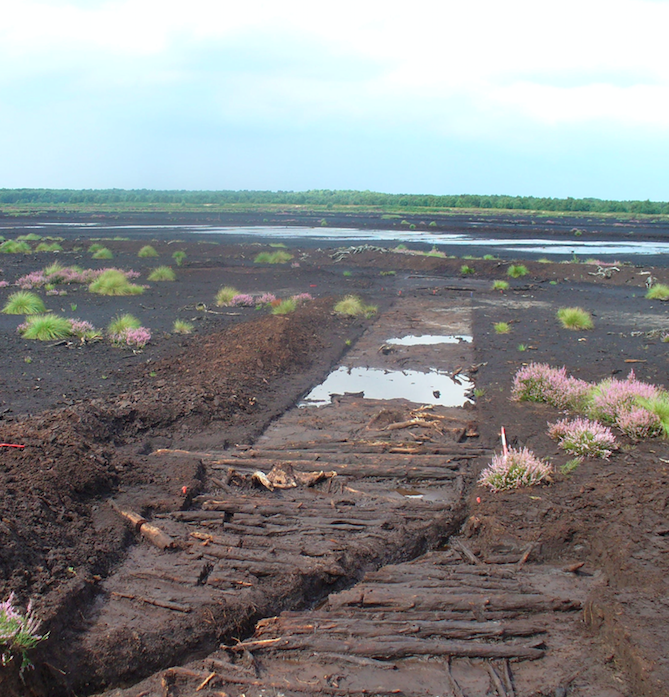 Neolithic trackway and platform, Lindholme, Hatfield, Doncaster, South Yorkshire