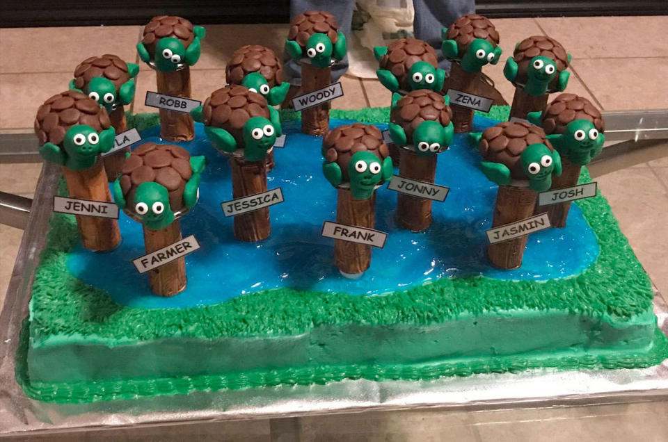 A cake with 14 turtles atop 14 posts "in a Harvey flood" celebrates the new nickname of the 2017 astronaut class. <cite>Ellen Ochoa/NASA</cite>