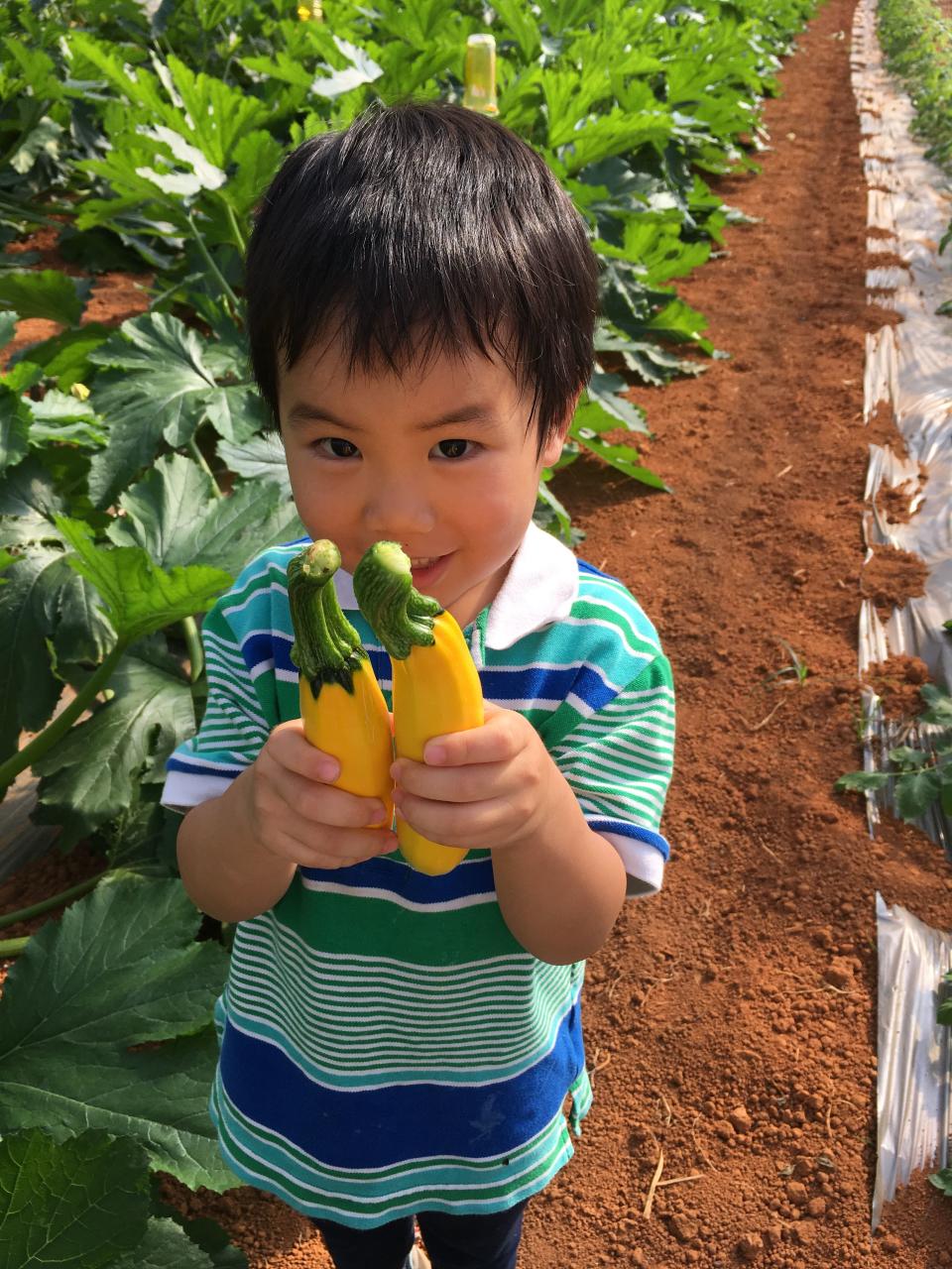 難忘的媽媽家常菜—你今天好好吃飯了嗎？選食力、生活自理能力，一輩子受用