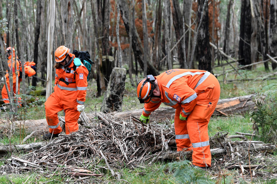 Pictured are police officers searching Macedon Regional Park for Karen Ristevski's body. Source: AAP