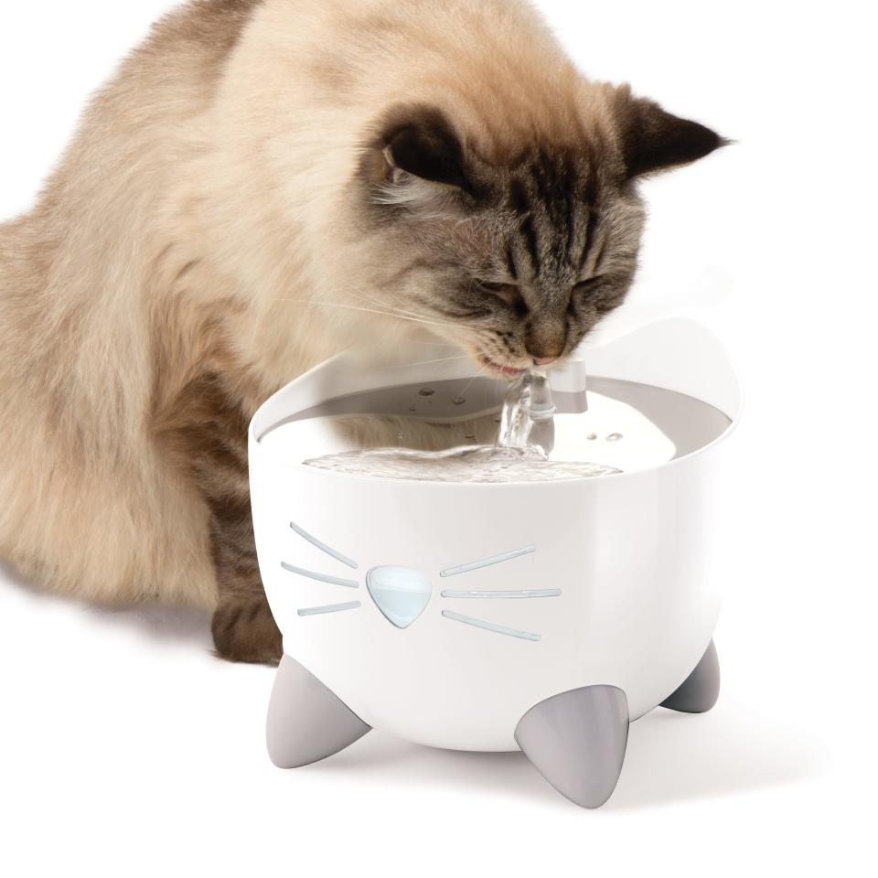 Catit's Smart Drinking Fountainhas UV-C tech to remove pathogens and remote capabilities that notify humans via smartphone if water is getting low.