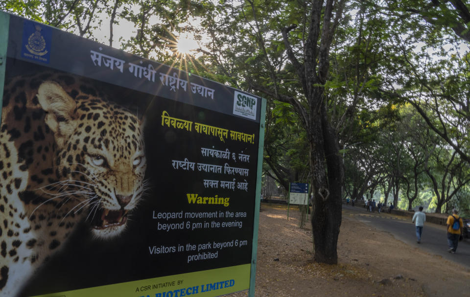 A warning signboard stands in Sanjay Gandhi National Park, which prohibits visitors and daily walkers from walking in the forest after 6 PM, a time considered most active for leopards, in Mumbai, India, Wednesday, April 6, 2022. Los Angeles and Mumbai, India are the world’s only megacities of 10 million-plus where large felines breed, hunt and maintain territory within urban boundaries. Long-term studies in both cities have examined how the big cats prowl through their urban jungles, and how people can best live alongside them. (AP Photo/Rafiq Maqbool)