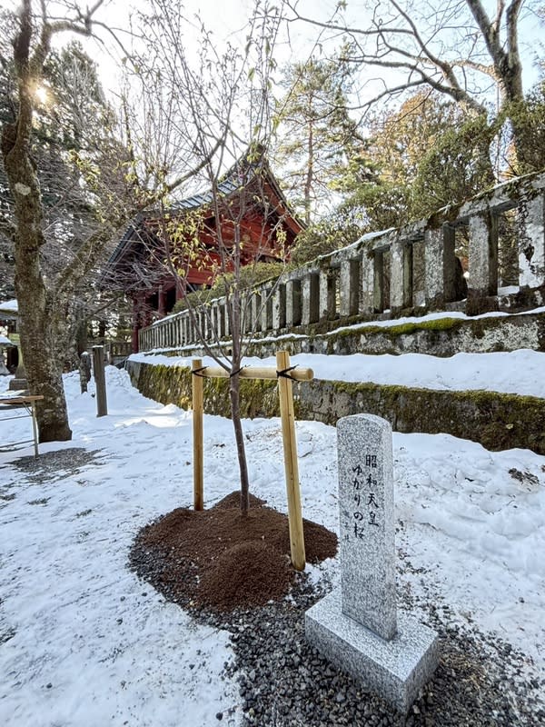 昭和櫻維繫百年台日情緣  分株種於富士山下神社 百年前日本皇太子裕仁（後來的昭和天皇）在台灣種 植櫻花，2019年起台日人士合力推動櫻花返鄉活動， 在日本分株種植，4日在日本靜岡縣小國神社及山梨 縣的北口本宮富士淺間神社（圖）舉行種植與揭碑儀 式。 （全日本台灣連合會提供） 中央社記者楊明珠東京傳真  113年3月5日 