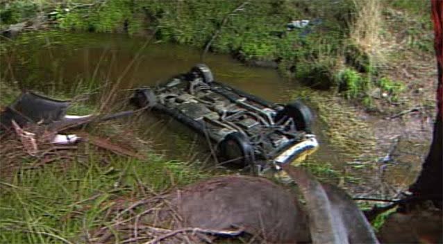 The car landed in the creek after hitting a tree. Source: 7 News