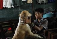 A boy checks a dog for injuries at a homeless shelter for survivors after the Super typhoon Haiyan battered Tacloban city in central Philippines November 14, 2013. Philippine President Benigno Aquino was under growing pressure on Thursday to speed up the distribution of food, water and medicine to desperate survivors of a powerful typhoon and to get paralysed local governments functioning. REUTERS/Edgar Su (PHILIPPINES - Tags: DISASTER ENVIRONMENT ANIMALS)