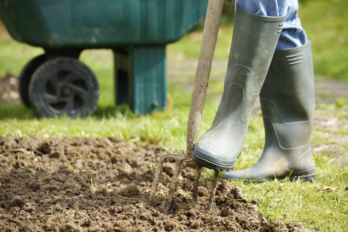 11 End-of-Summer Gardening Mistakes You Should Avoid, According to Experts