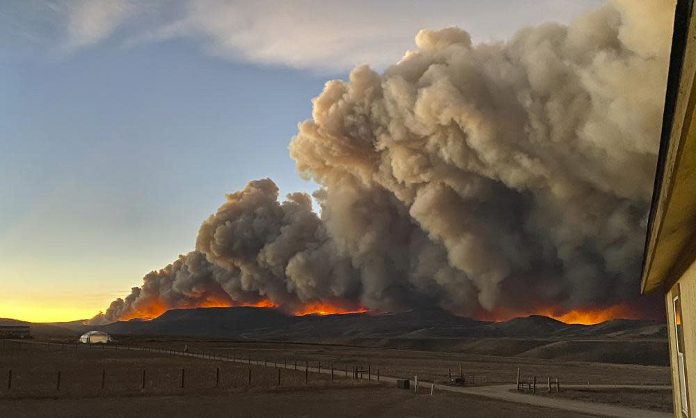 <span>Photograph: Jessy Ellenberger/AP</span>