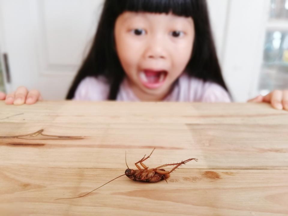 Cockroach allergies are a real thing. (Photo:Getty)