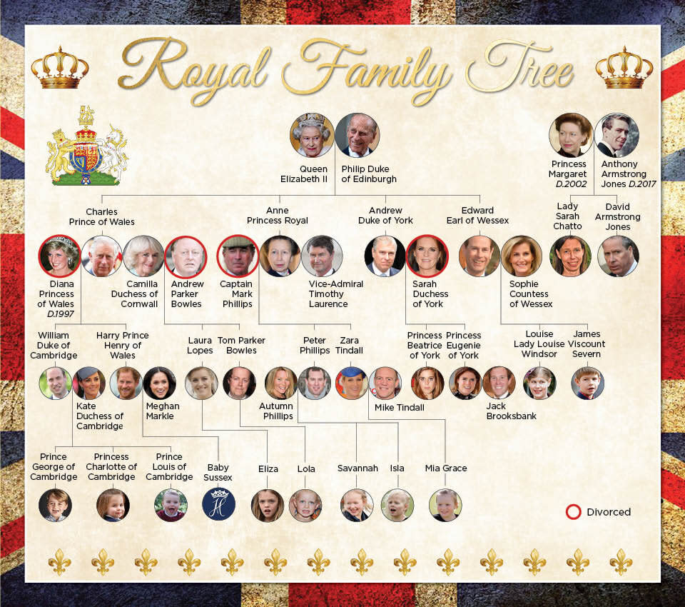 The royal house of windsor family tree including all of the Queen's direct descendants 