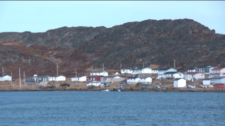 'Bear was looking right at him': Close encounters with polar bears in Labrador