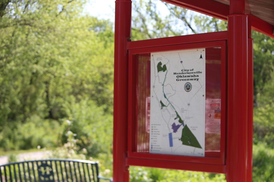 The Oklawaha Greenway will be the site of this month's Native Plants Walk, set for June 25.