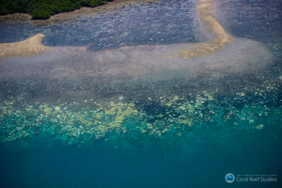 An aerial view of a section of the Great Barrier Reef, with bleached corals visible in the water.