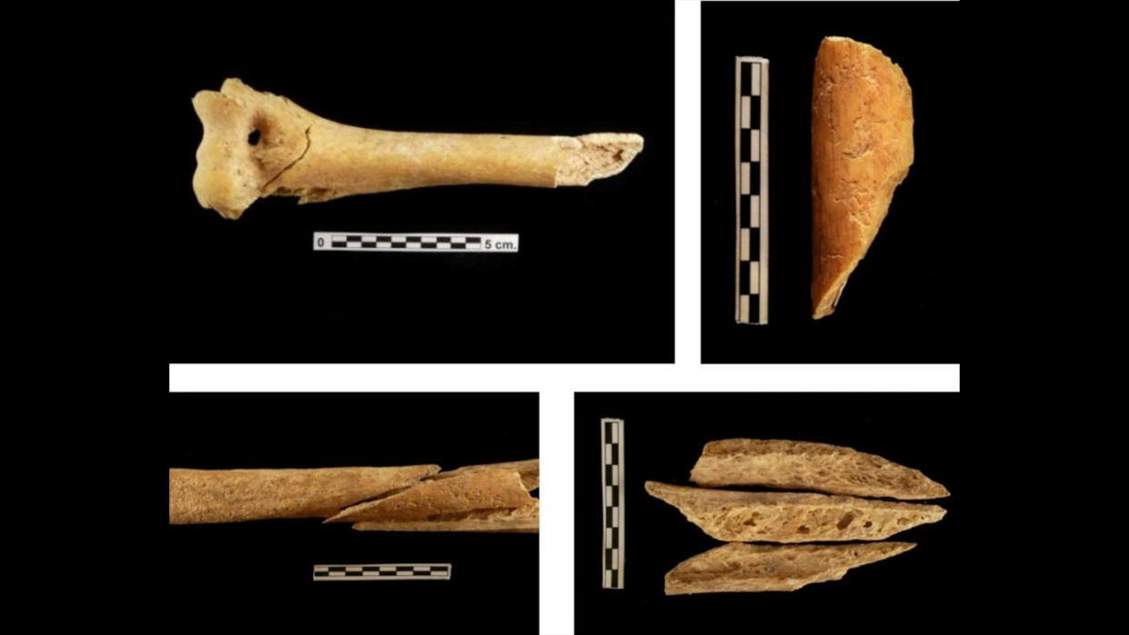  Spiroid fractures of two humeri from Los Zumacales with several resulting fragments. Some are typically "butterfly-shaped.". 