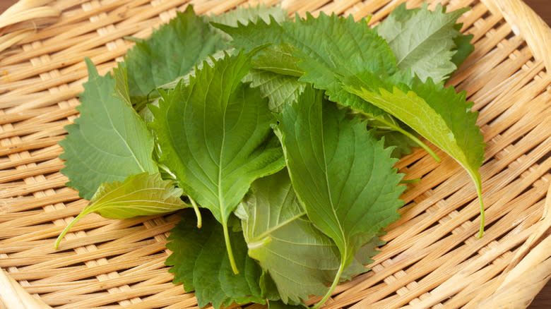 Shiso leaves in a basket