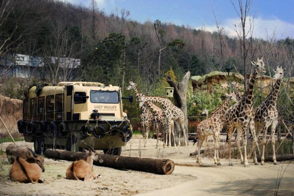 韓國旅遊｜愛寶樂園門票買一送一！韓國最大主題樂園、佔地近1,500萬平方尺 集動物園、機動遊戲於一身