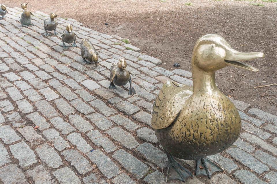 Les canards de bronze de Boston (Getty Images)