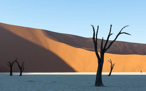 Dunes in Namibia - Credit: Getty