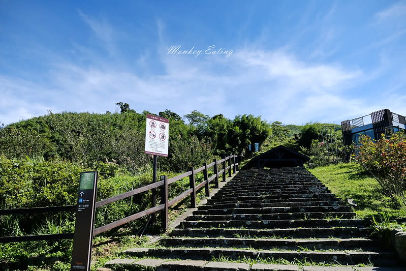 嘉義阿里山｜二延平步道