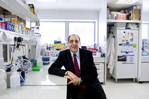 José-Alain Sahel, M.D. (in the laboratory)