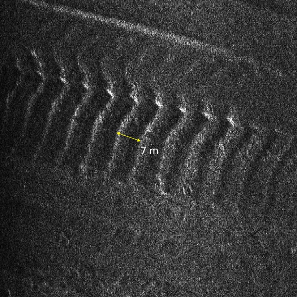 A side-scan sonar seabed image showing the newly discovered ribs at the seafloor, created as Thwaites retreated back across the seabed, bobbing up and down with the tides.