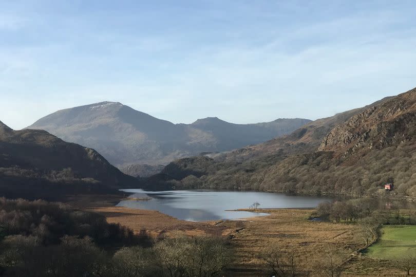 Lake, mountains and trees at Llyndy Isaf farm, Nant Gwynant, Snowdonia.