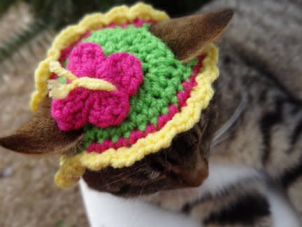 Spring Is in the Air...and on Your Cat's Head