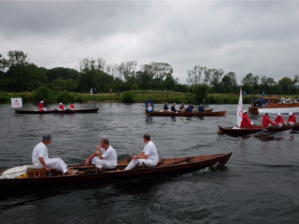 swan upping