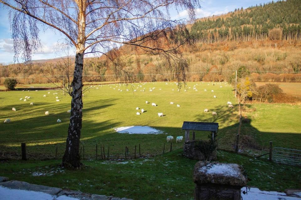 Mountain views towards Sugarloaf from Duffryn Mawr (Duffryn Mawr Country House/Airbnb)