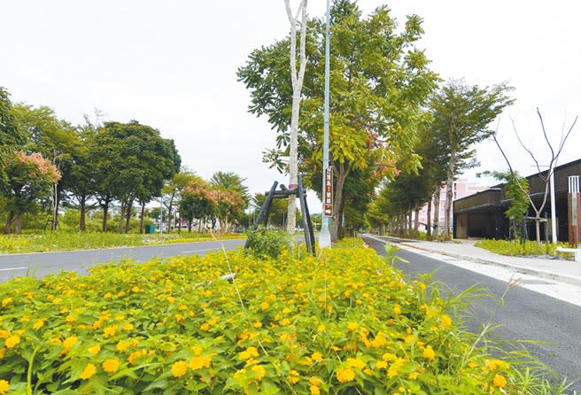 台東縣政府進行車站門戶景觀道路改造，把更多道路空間留給行人。（莊哲權攝）