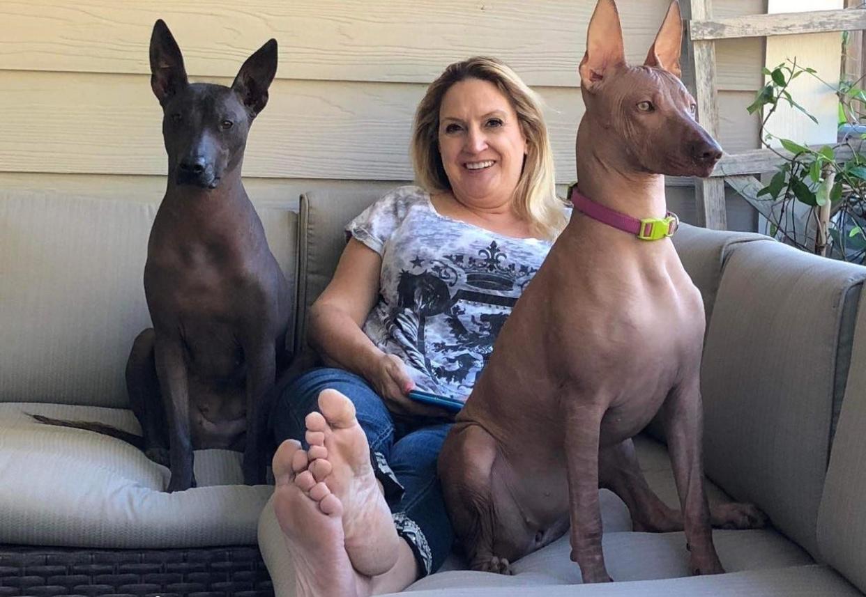 Grovetown resident Barbara Dubois sits with Katira (left) and Cocoa, two of her four Peruvian Inca Orchid dogs. Fewer than 800 of the breed are registered by the American Kennel Club, putting Orchids among the world's rarest dogs.