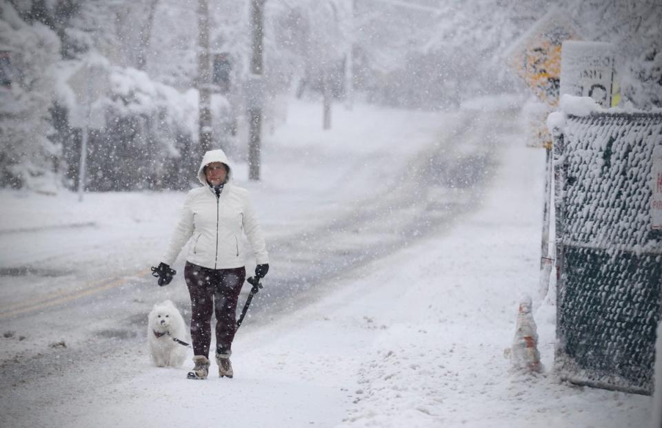 Several inches of snow have already hit New York state, pictured above (AFP via Getty Images)