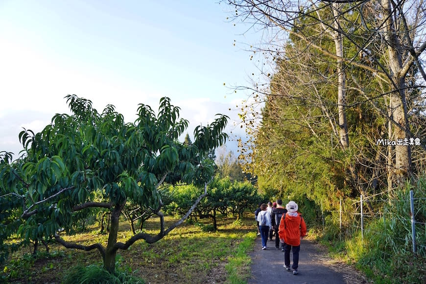 台中｜福壽山農場