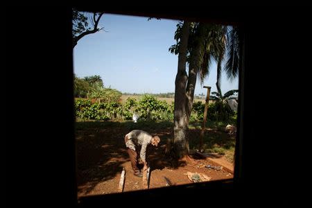 Farmer Enerildo Gonzales works in his ranch near San Antonio de los Banos village in Artemjsa province, Cuba, April 12, 2016. REUTERS/Alexandre Meneghini