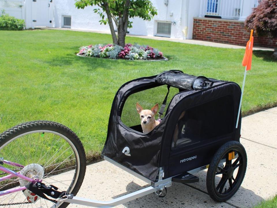 Want Your Best Buddy Along for the Ride? Our Expert Lindsay Pevny Helps You Gear Up with the Right Bike Trailer for Your Dog.