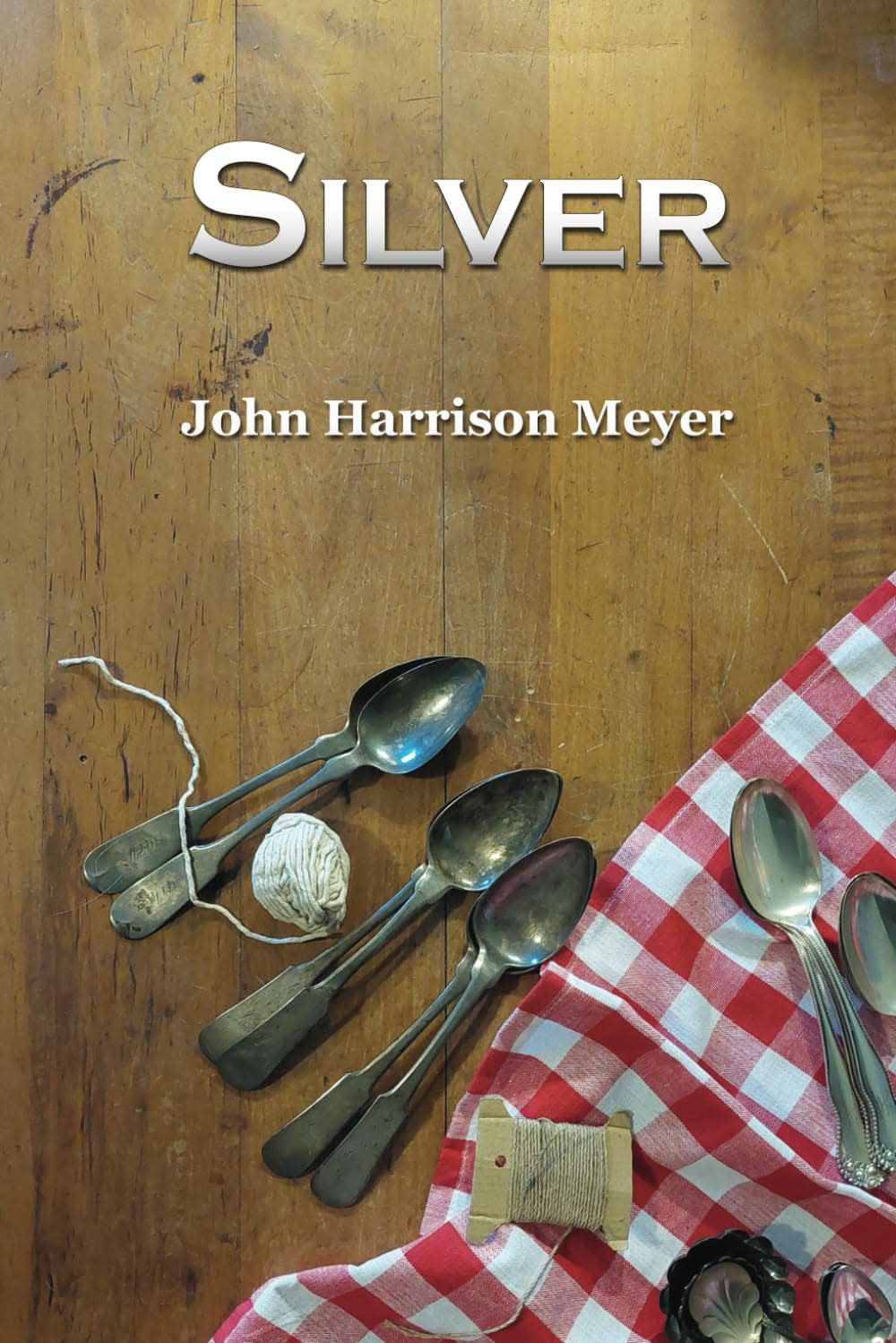 Wilmington writer John Harrison Meyer's new historical novel, set in the Civil War, is "Silver."
