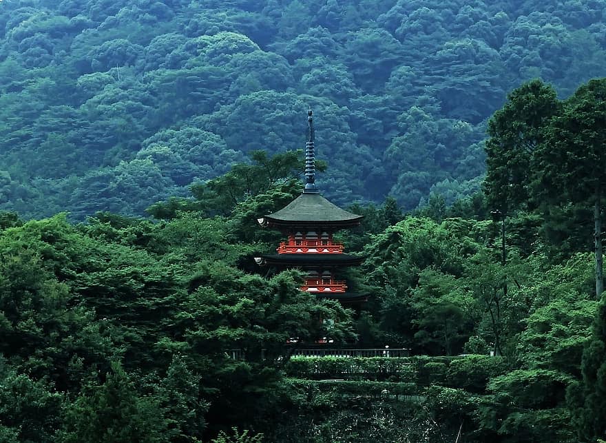 日本森林土地今年吸引大批外國人購買。