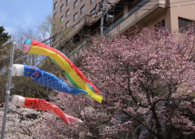 Cherry blossoms at Jozankei (Photo: PIXTA)