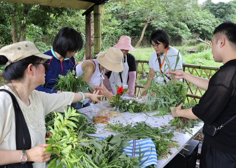 新北原住民食農教育體驗  製作香草花束 新北市府原住民族行政局26日表示，25日下午在三峽 原民特色農園舉辦食農教育體驗活動，由阿美族人帶 領遊客製作香草、野菜花束送給自己。 （新北原民局提供） 中央社記者黃旭昇新北傳真  113年5月26日 