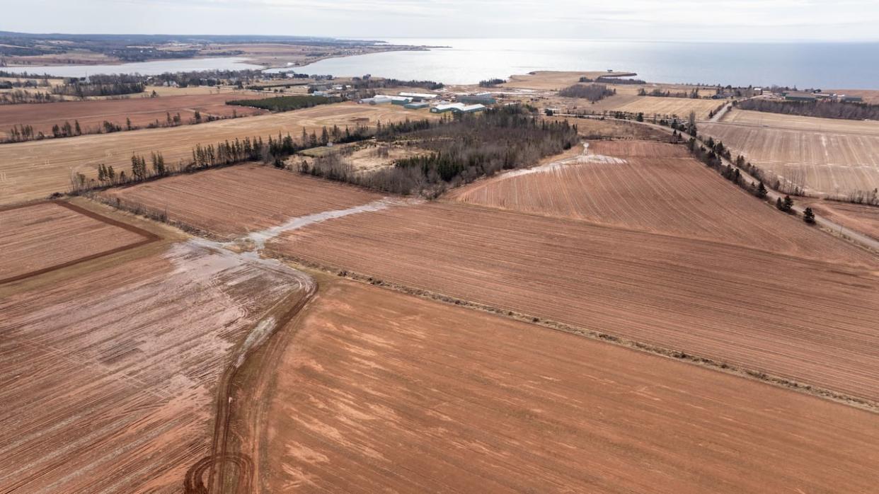 An aerial view over John Visser's potato farm in Victoria, P.E.I., on Thursday (Shane Hennessey/CBC - image credit)
