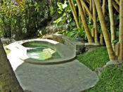 <p>To top it all off the home also has a plunge pool. (Airbnb) </p>