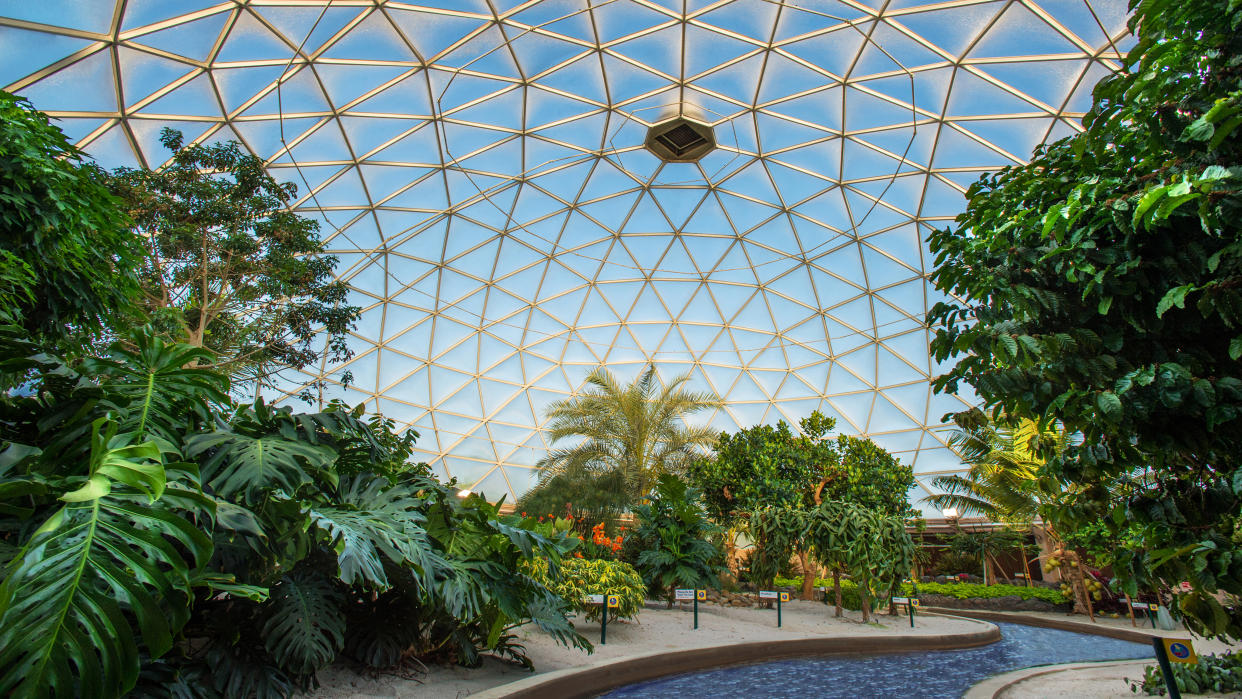 In Epcot's Living with the Land attraction, guests can ride through an immense greenhouse and see the crops being grown by the researchers who work there. (Photo: Walt Disney World Resort)