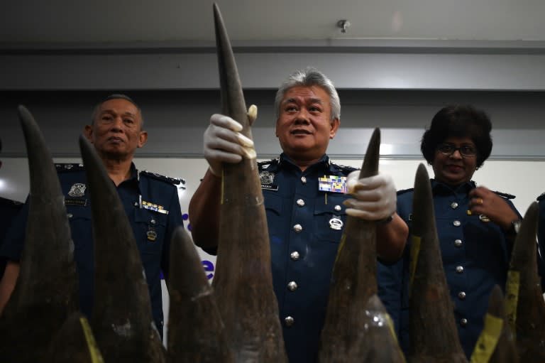 Malaysian Airports Customs Director Hamzah Sundang (C) shows seized rhino horns imported from Mozambique in a crate listed as containing art objects, April 10, 2017