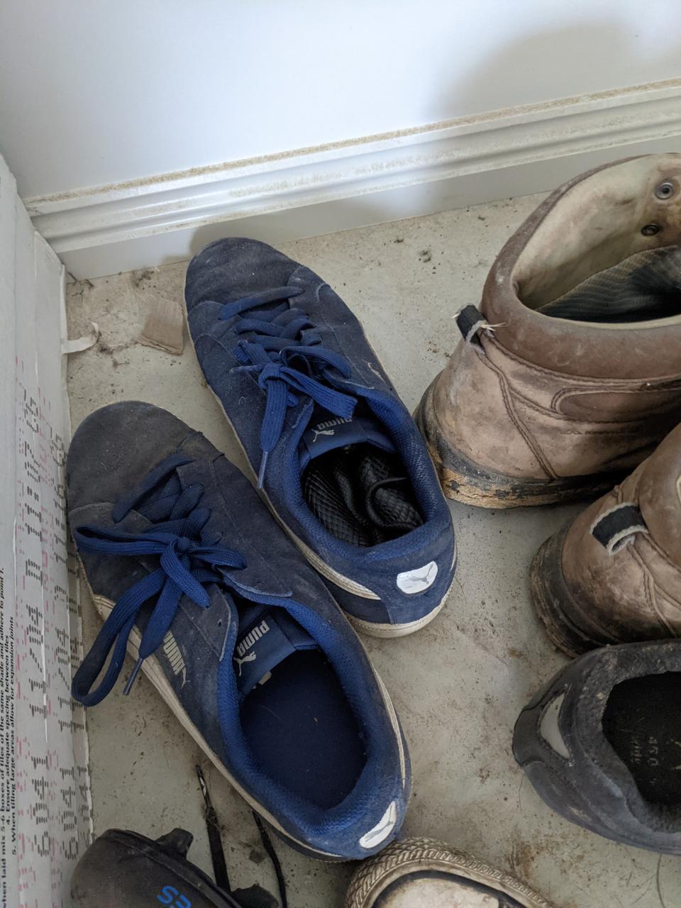 A pair of royal blue Puma sneakers on the ground outside. A black snake can be seen curled up inside the shoe on the right.